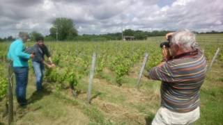 Visite des vignes de Pissotte