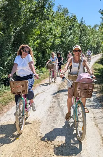 Original Velo Tour Balades A Velo Marais Poitevin Balades A Velo Adaptees Sur Mesure